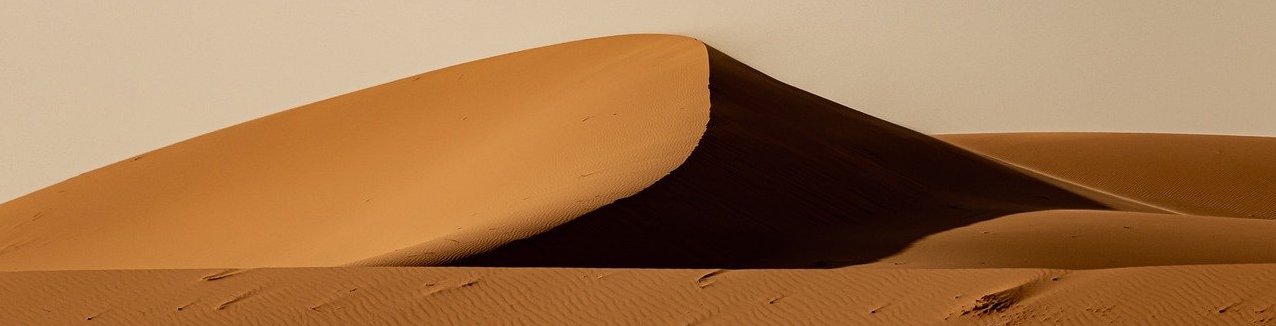 La version 2 de la June (Ğ1) est là !